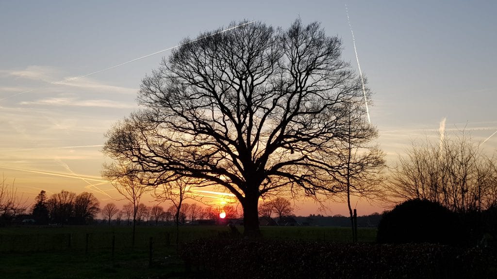 zonsondergang_eik