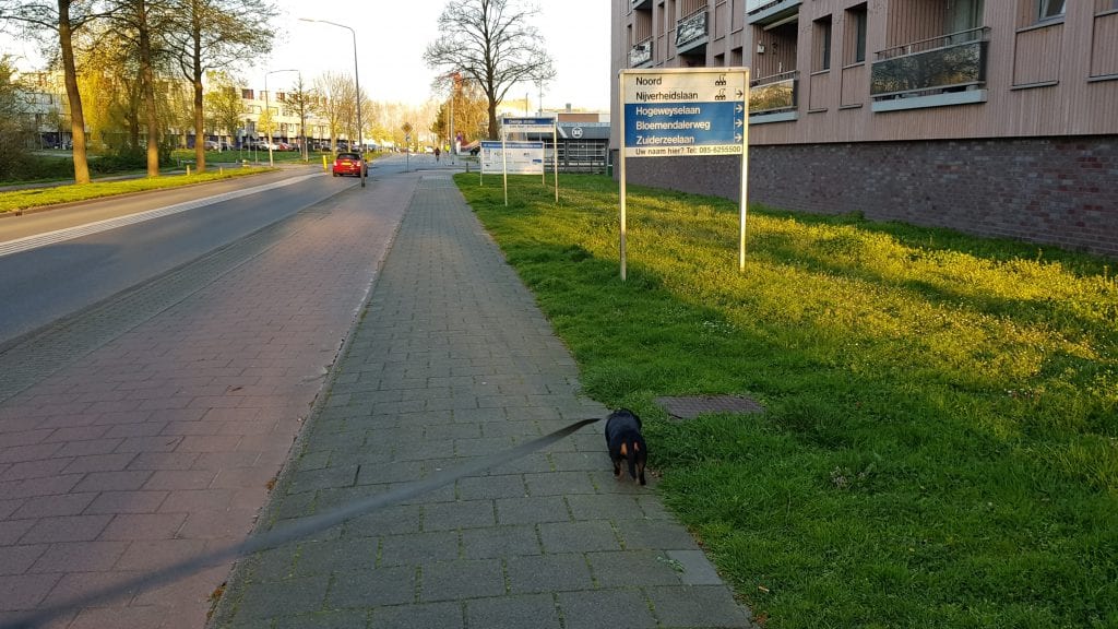 190410_ochtendwandeling