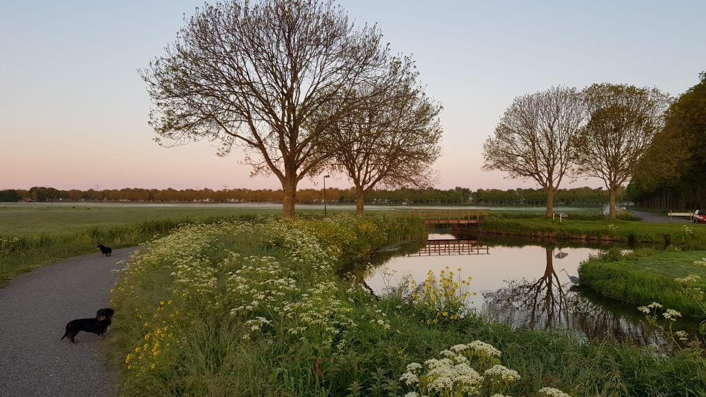190513_wandeling_bij_zwembad