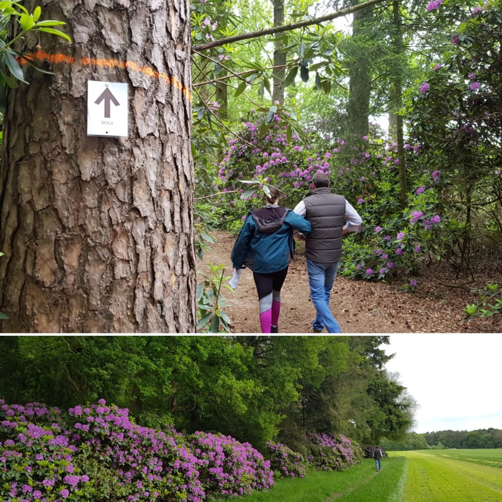 190525_rododendronwandeling