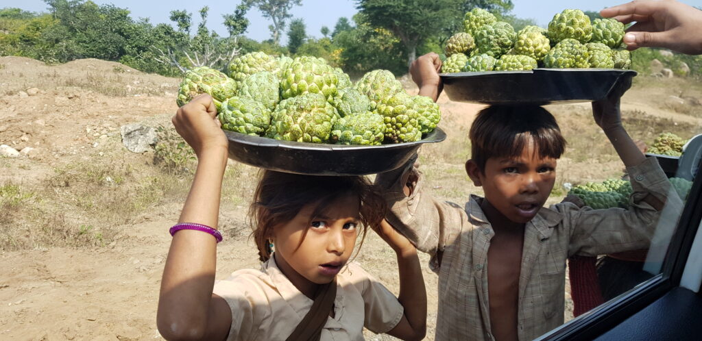 20191125_india